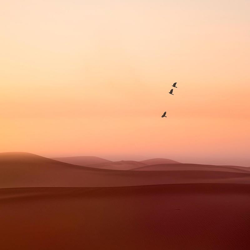 wakkerwordenyoga1-yogapijnacker