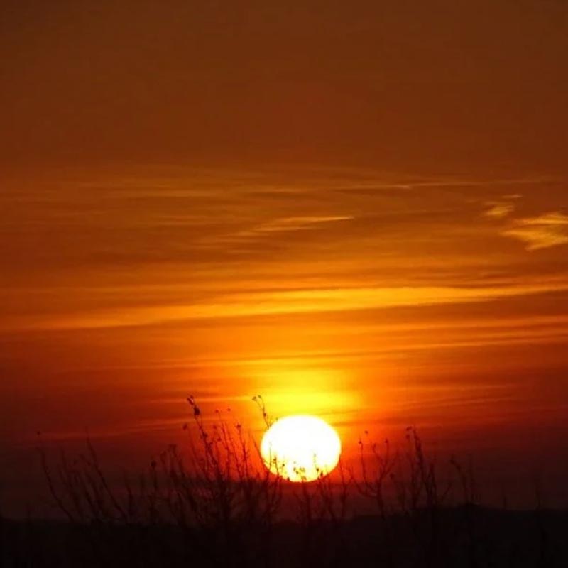 wakker-worden-yogapijnacker